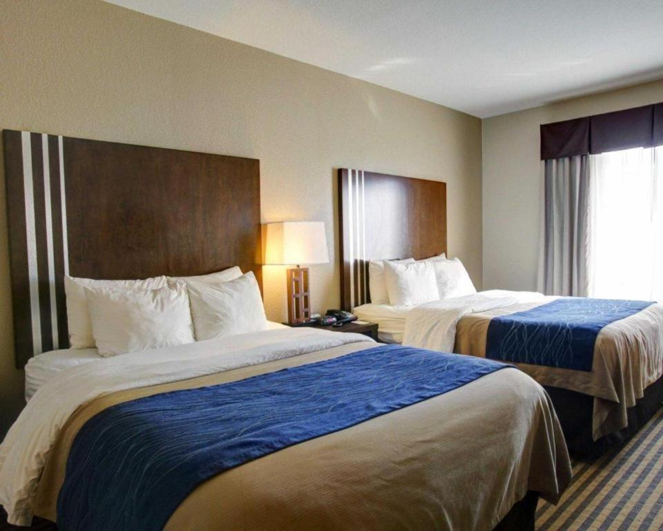 Navasota Comfort Inn & Suites מראה חיצוני תמונה