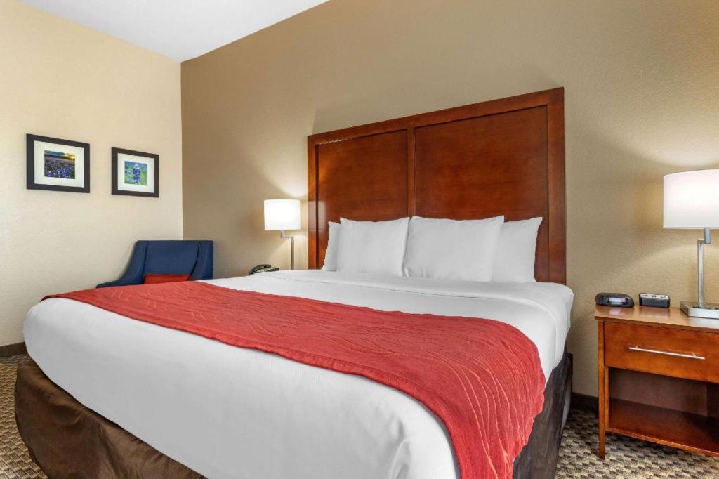 Navasota Comfort Inn & Suites מראה חיצוני תמונה