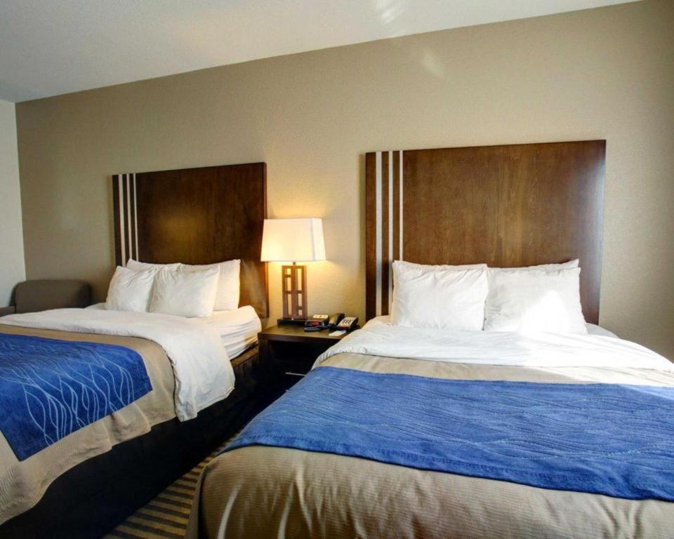 Navasota Comfort Inn & Suites מראה חיצוני תמונה