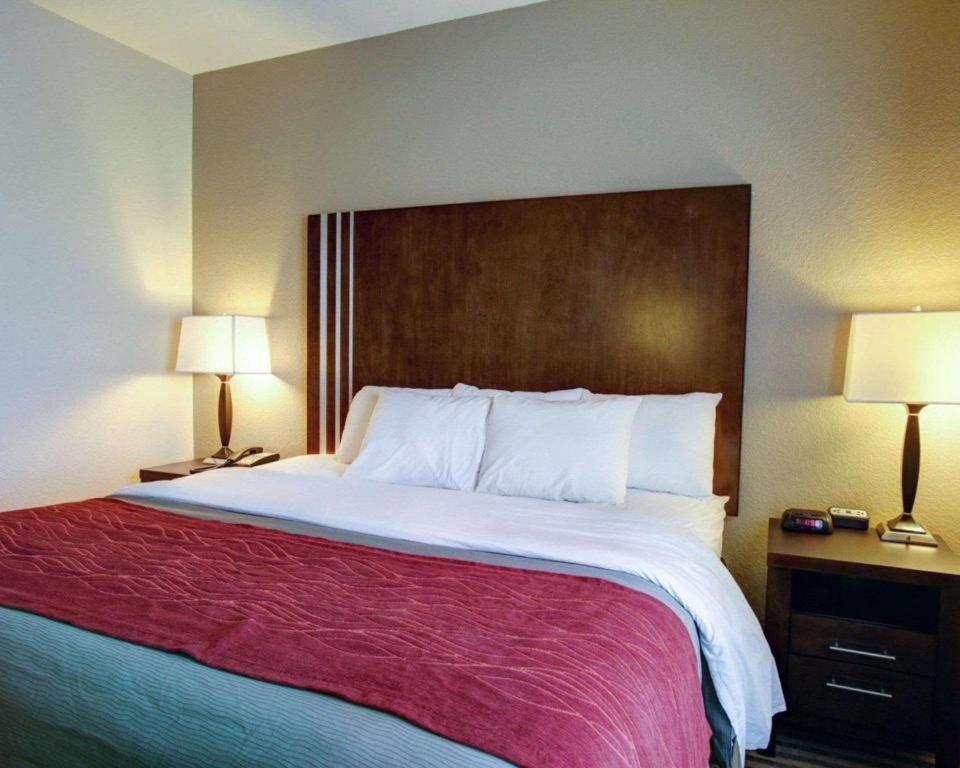 Navasota Comfort Inn & Suites מראה חיצוני תמונה