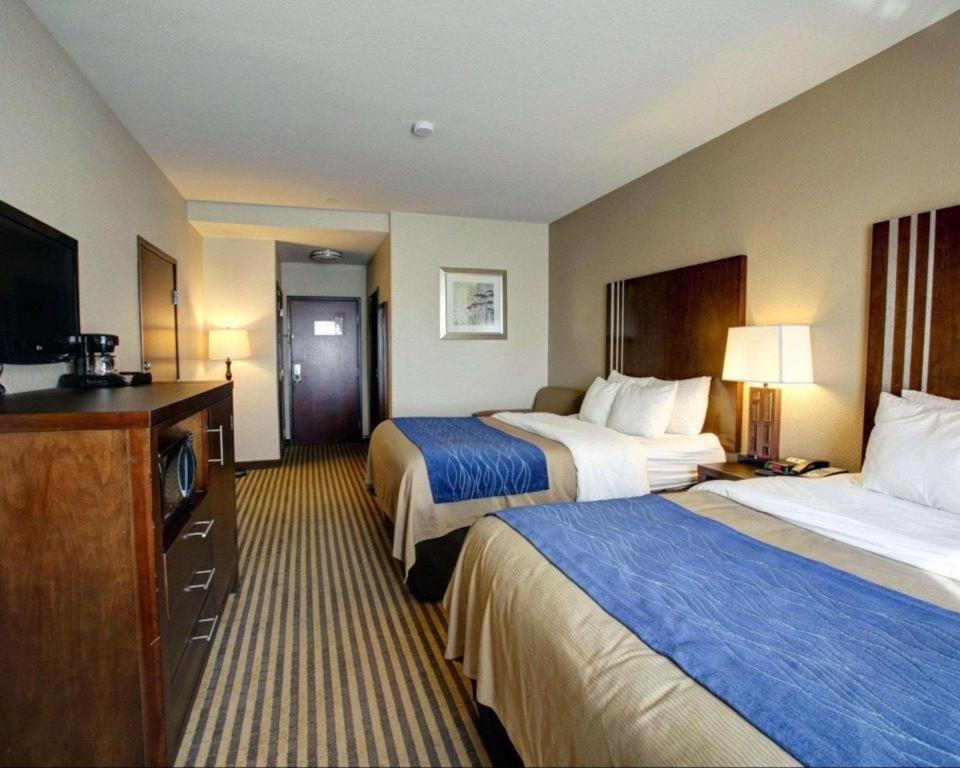 Navasota Comfort Inn & Suites מראה חיצוני תמונה