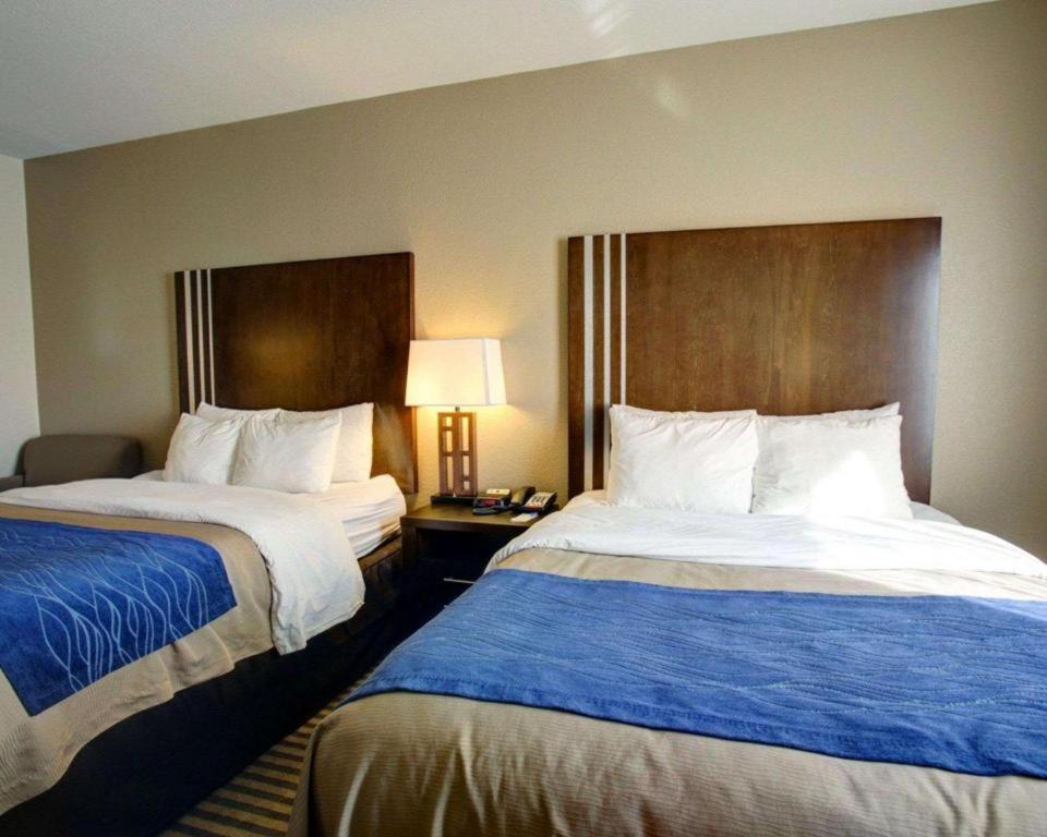 Navasota Comfort Inn & Suites מראה חיצוני תמונה