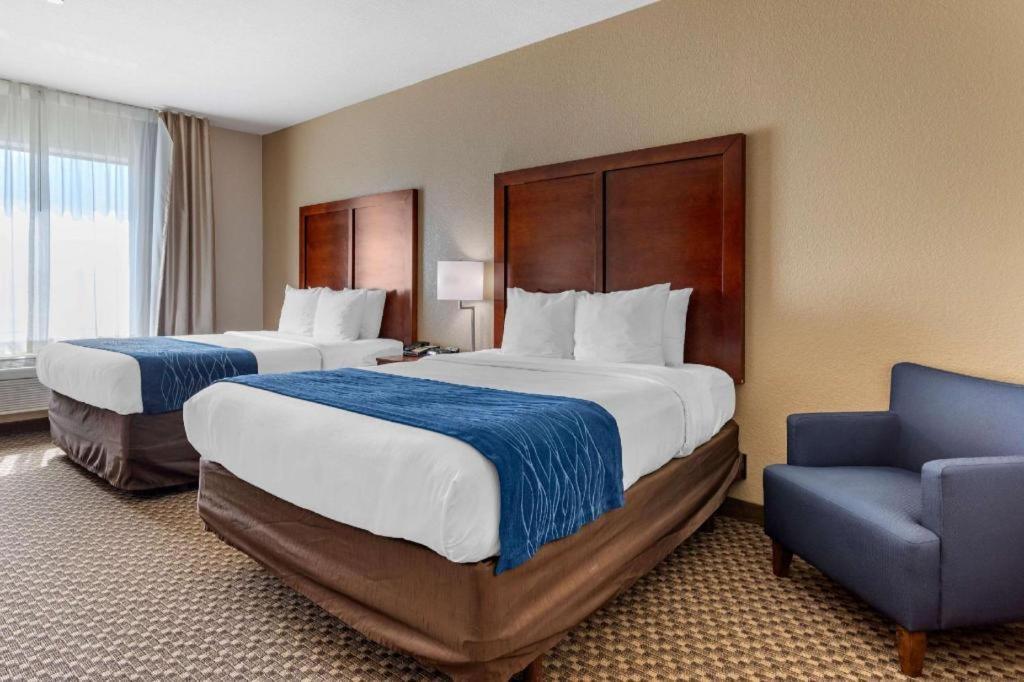 Navasota Comfort Inn & Suites מראה חיצוני תמונה