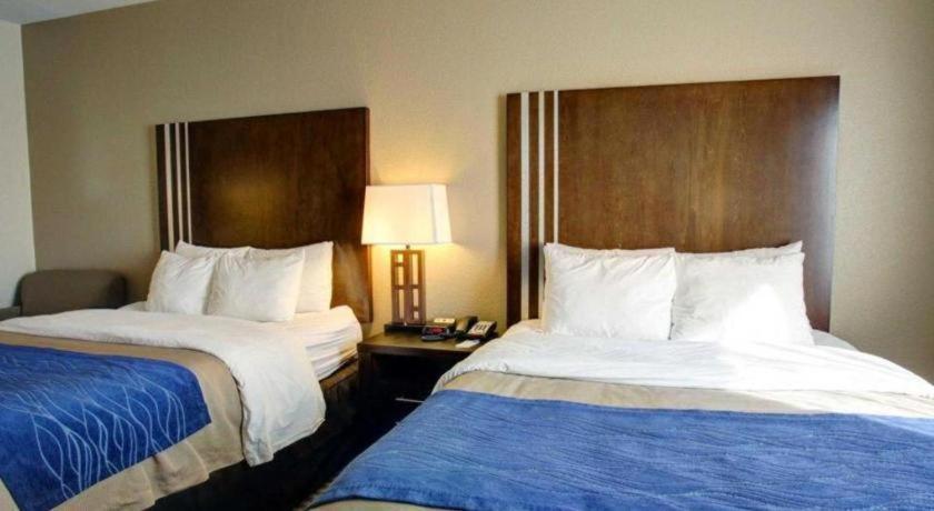 Navasota Comfort Inn & Suites מראה חיצוני תמונה
