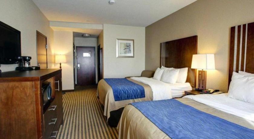 Navasota Comfort Inn & Suites מראה חיצוני תמונה