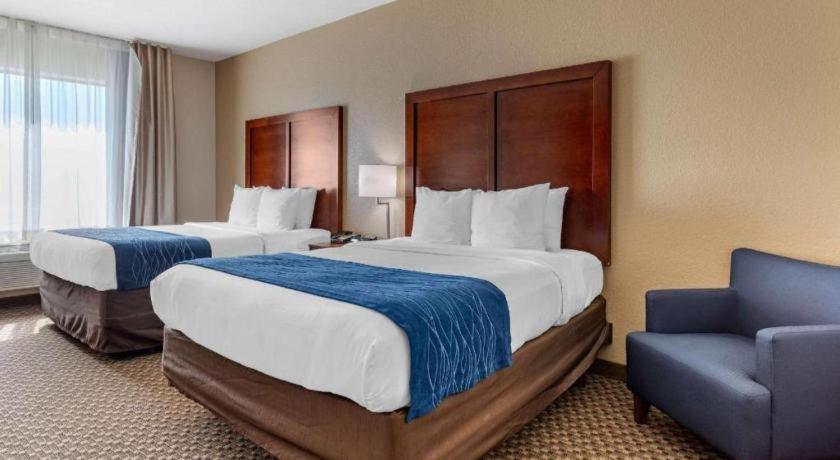 Navasota Comfort Inn & Suites מראה חיצוני תמונה