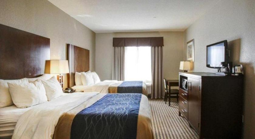 Navasota Comfort Inn & Suites מראה חיצוני תמונה